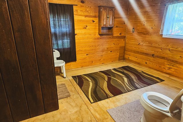 17355 Mo 19, Alton, MO 65606