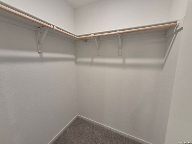 8551 GREEN BLISS, San Antonio, TX 78223