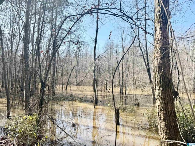 0 CODY ROAD, Roanoke, AL 36274