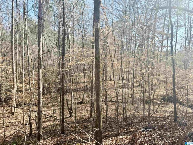 0 CODY ROAD, Roanoke, AL 36274