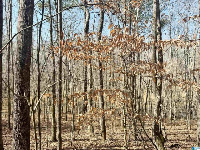 0 CODY ROAD, Roanoke, AL 36274