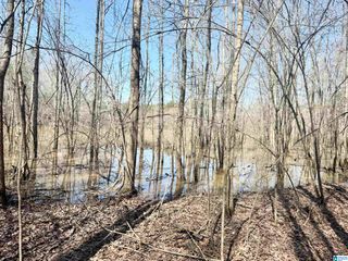 0 CODY ROAD, Roanoke, AL 36274