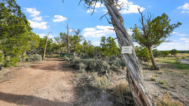 330 Canyon Ridge Drive, Glade Park, CO 81523