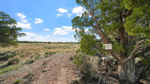 330 Canyon Ridge Drive, Glade Park, CO 81523
