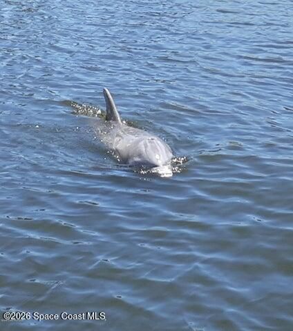 200 S Banana River Boulevard 2310, Cocoa Beach, FL 32931