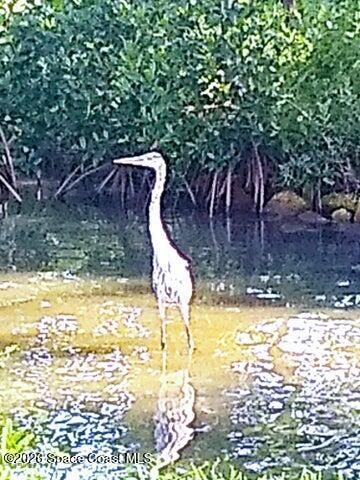 200 S Banana River Boulevard 2310, Cocoa Beach, FL 32931