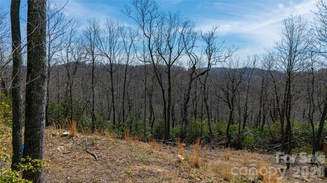 000 Walker Ridge, Spruce Pine, NC 28777