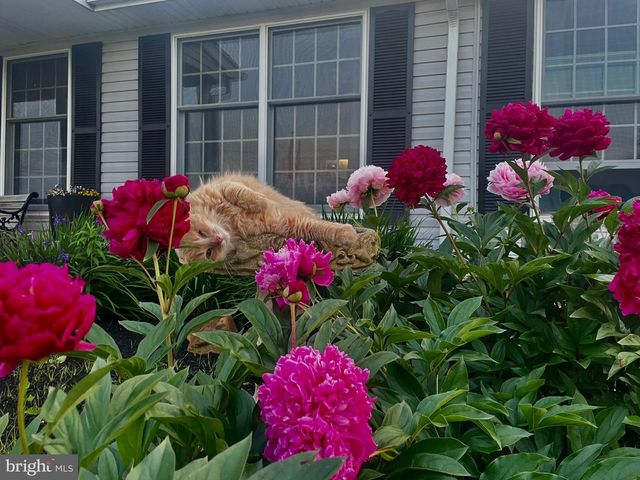 908 PRIESTFORD RD, Darlington, MD 21034