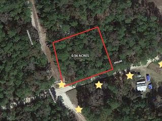 0 Little Ponderosa Drive, Onalaska, TX 77360