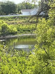 REDBUD ROAD, Lady Lake, FL 32159