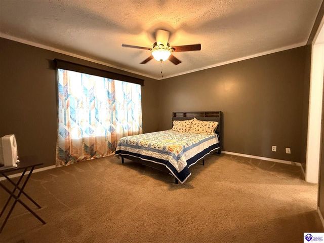 3021 Burns Road, Rineyville, KY 40162