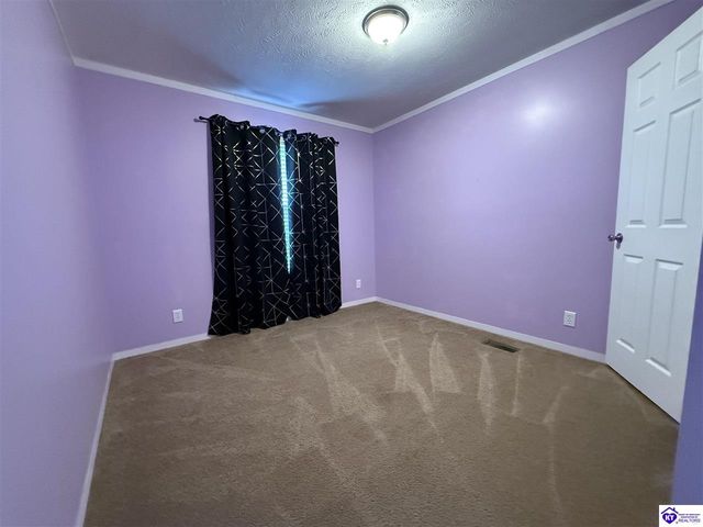 3021 Burns Road, Rineyville, KY 40162