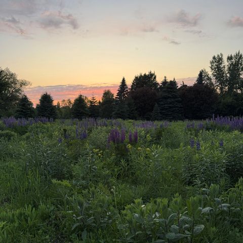 24111 Rice Lake Drive, Lakeville, MN 55044