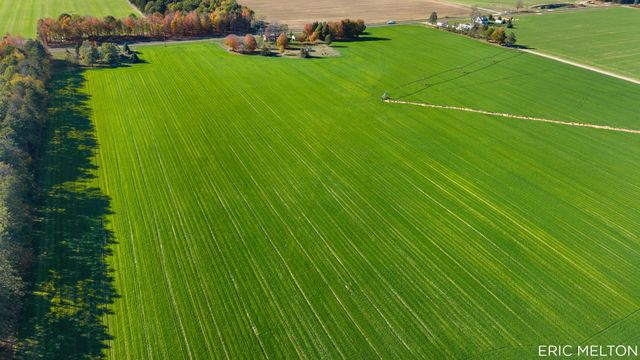 529 68th Street 1, South Haven, MI 49090