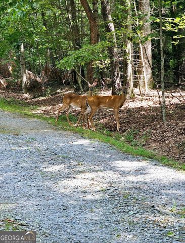 44 W D Court, Ellijay, GA 30540