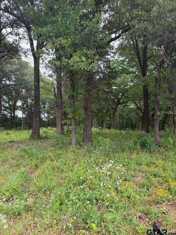 13676 County Road 420, Tyler, TX 75704