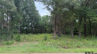 13676 County Road 420, Tyler, TX 75704