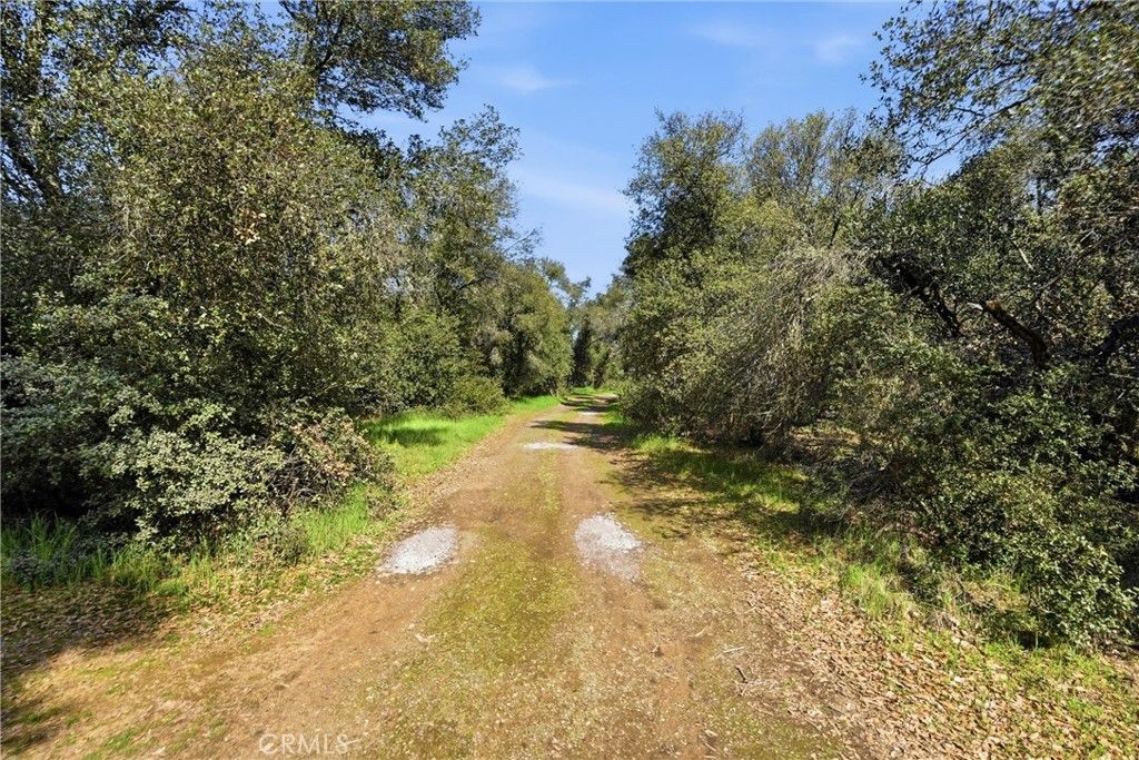 Image 12 of property listing at 6495 Jacobson Road, Kelseyville, CA 95451
