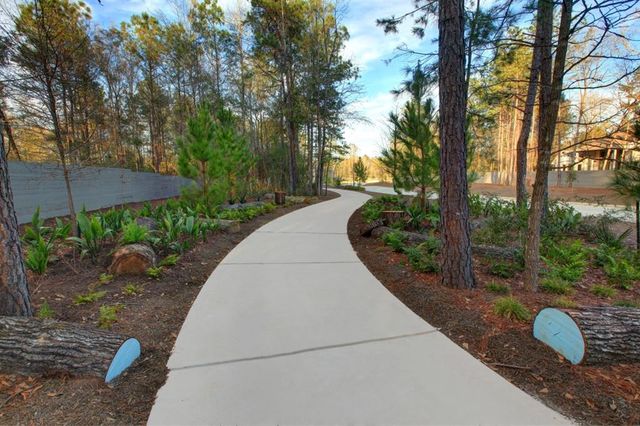 16007 Bonjour Boulevard, Conroe, TX 77302