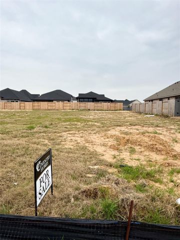 26567 Jolly Prairie Drive, Hockley, TX 77447