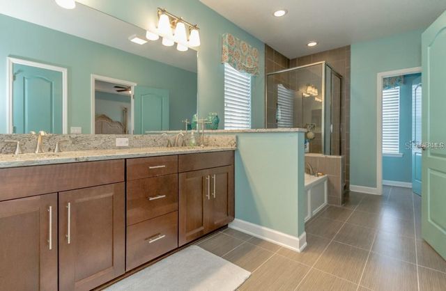 1596 CASTILE STREET, Celebration, FL 34747