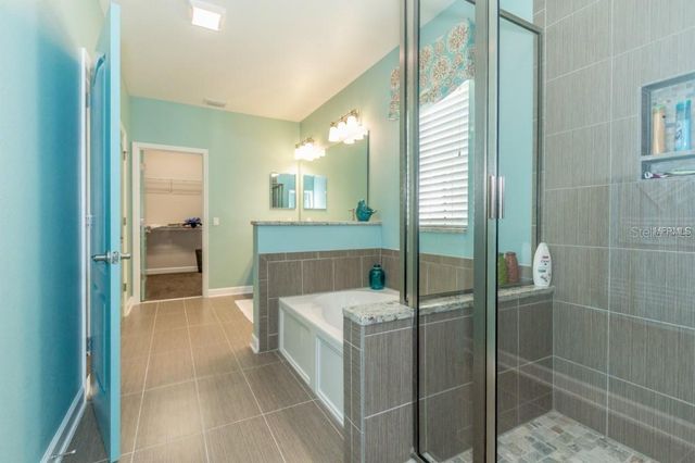 1596 CASTILE STREET, Celebration, FL 34747