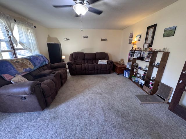 207 E Meadow Avenue, Crane, MO 65633