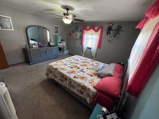 207 E Meadow Avenue, Crane, MO 65633