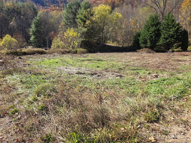 00 Eagles Trace, Canton, NC 28716