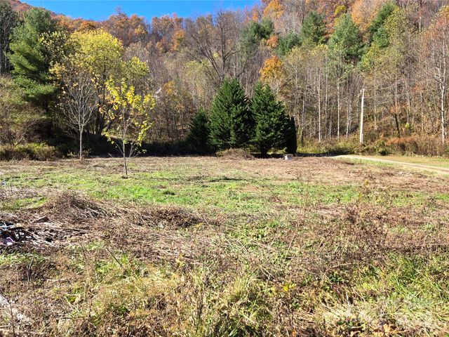 00 Eagles Trace, Canton, NC 28716