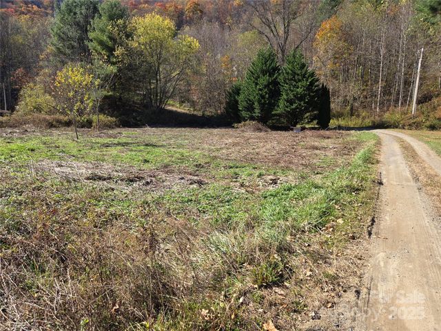 00 Eagles Trace, Canton, NC 28716