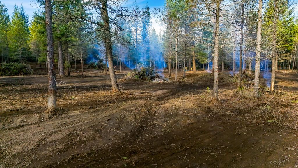 321 Glendale Dr, Newport, WA 99156 photo 2