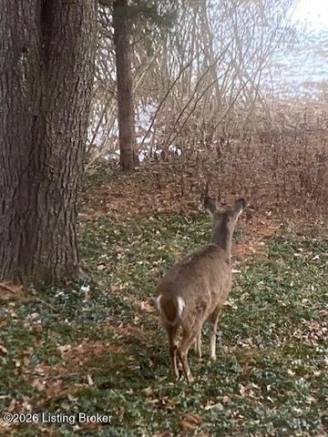 6710 Tallwood Ct, Prospect, KY 40059