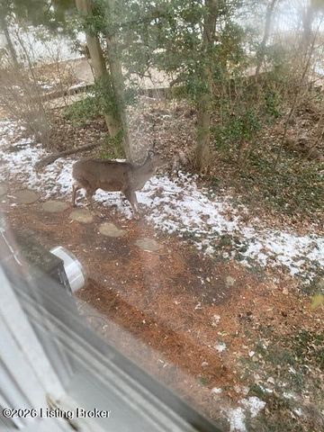 6710 Tallwood Ct, Prospect, KY 40059