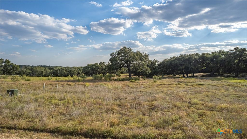 781 Annabelle Avenue, Bulverde, TX 78163