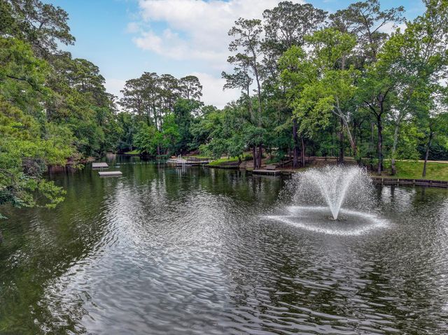 45 Patti Lynn Lane, Houston, TX 77024