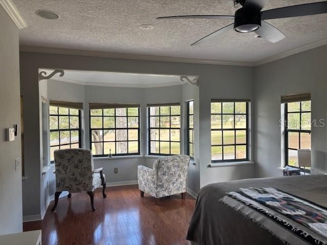 385 BRASSIE DRIVE, Longwood, FL 32750