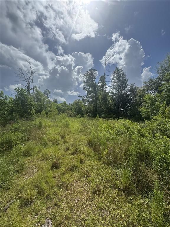 3740 & 3822 Dunn Ferry Road, Lake Charles, LA 70611