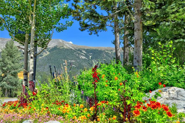 45 Beeler Place 2309, Copper Mountain, CO 80443