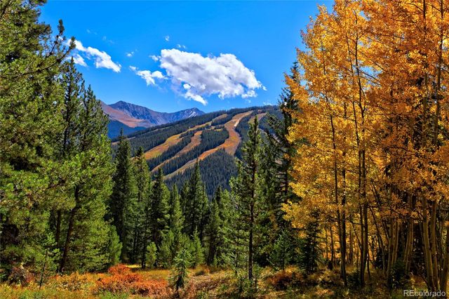 45 Beeler Place 2309, Copper Mountain, CO 80443