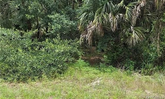 60 S Camellia Avenue, Crystal River, FL 34429