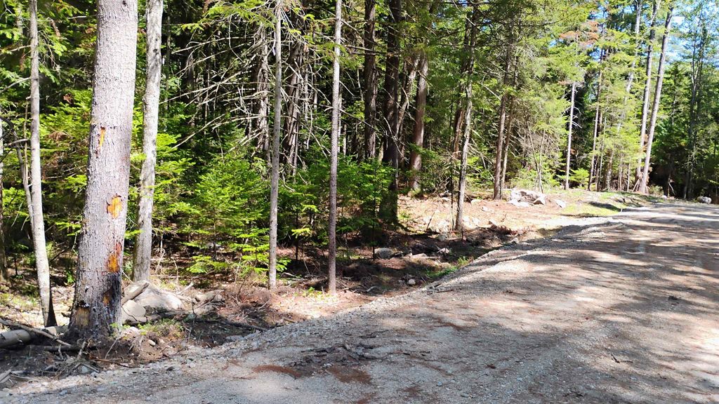 Lot 2 NH Route 4A, Grafton, NH 03240