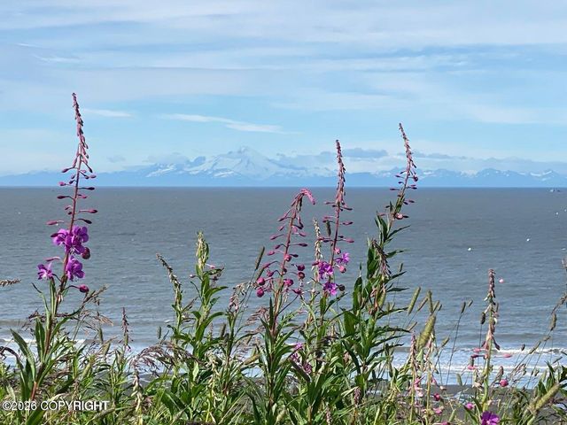 23031 Cohoe Loop Road, Kasilof, AK 99610