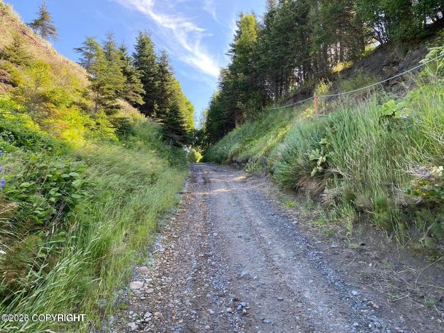 23031 Cohoe Loop Road, Kasilof, AK 99610