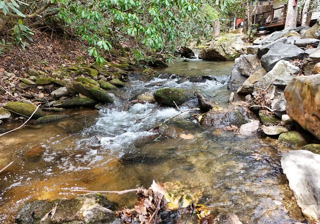 1091 Creekside Drive, Hiawassee, GA 30546