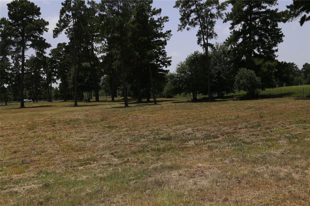 513 E Hufsmith St Road, Tomball, TX 77375