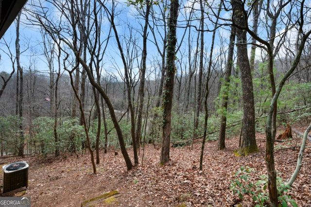 173 Mountain Laurel Lane, Ellijay, GA 30536