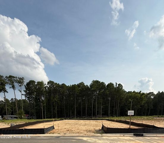 131 White Bark Avenue Lot 16, Rocky Mount, NC 27804