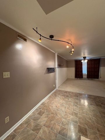 34924 S State Route 129 Route, Braceville, IL 60407