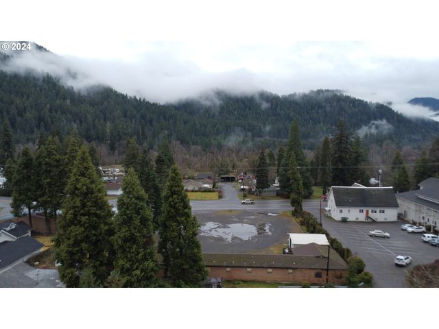 48197 HIGHWAY 58, Oakridge, OR 97463